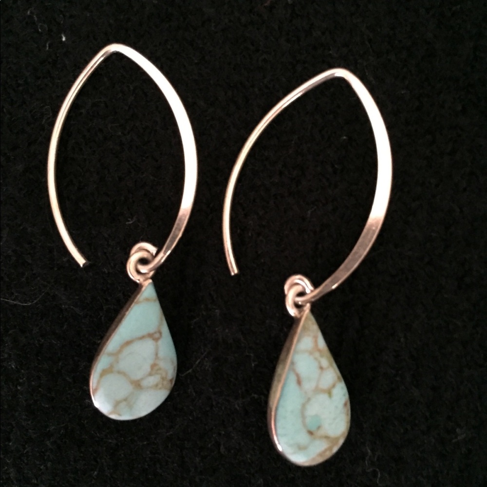 Sterling silver and turquoise earrings